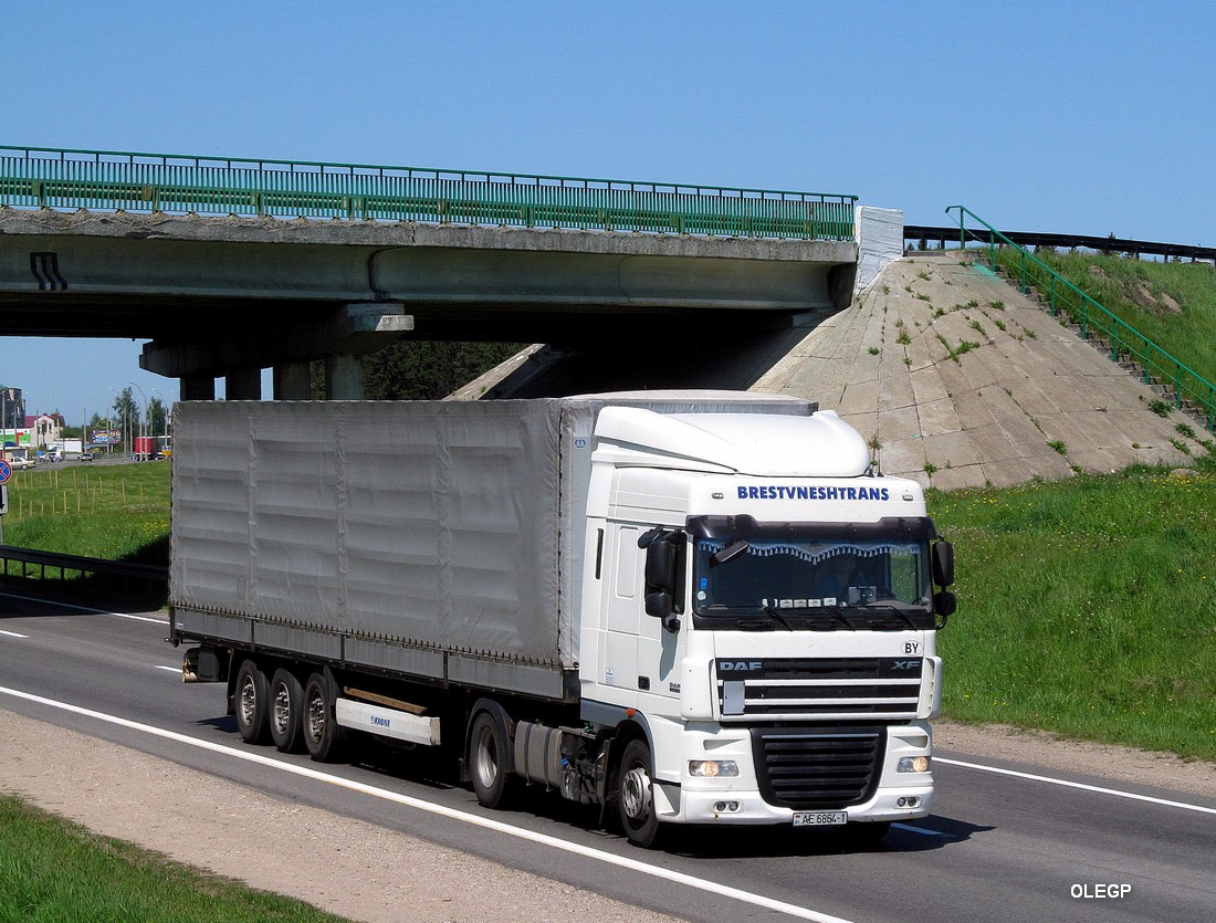 Брестская область, № АЕ 6864-1 — DAF XF105 FT