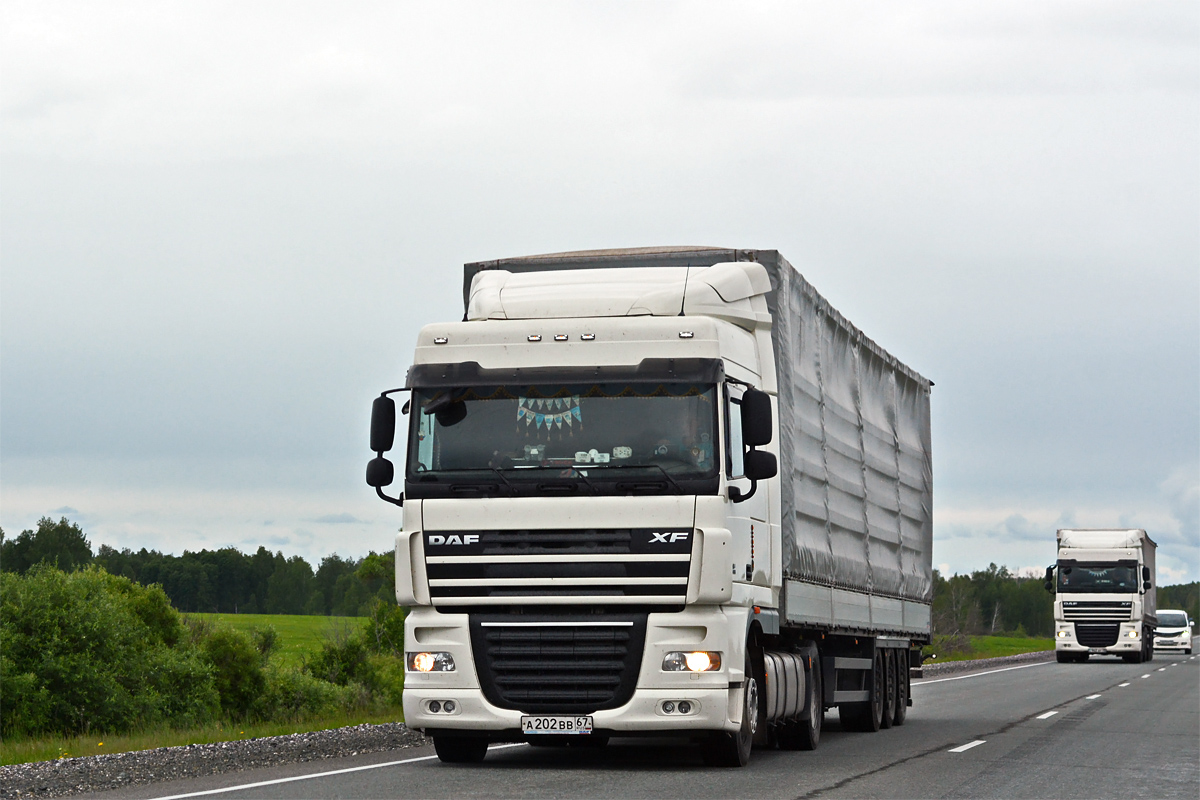 Смоленская область, № А 202 ВВ 67 — DAF XF105 FT