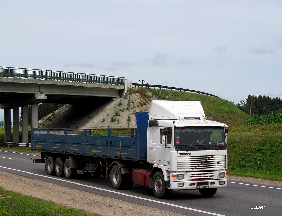 Витебская область, № АЕ 8458-2 — Volvo ('1987) F12