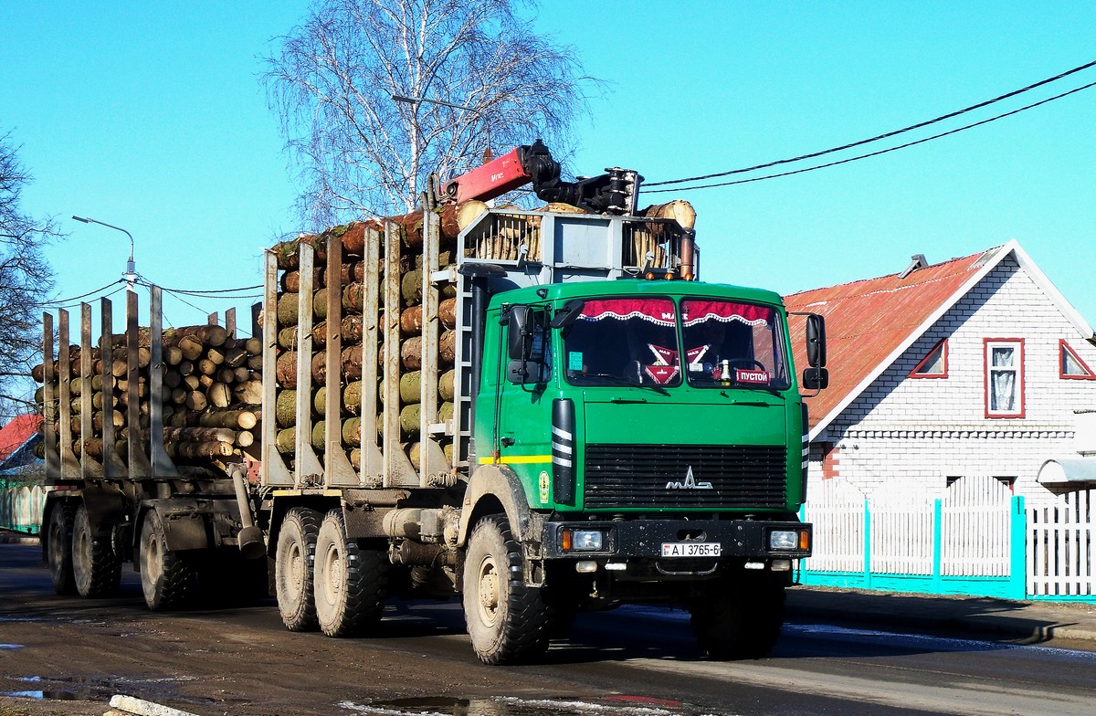 Могилёвская область, № АІ 3765-6 — МАЗ-6317 (общая модель)