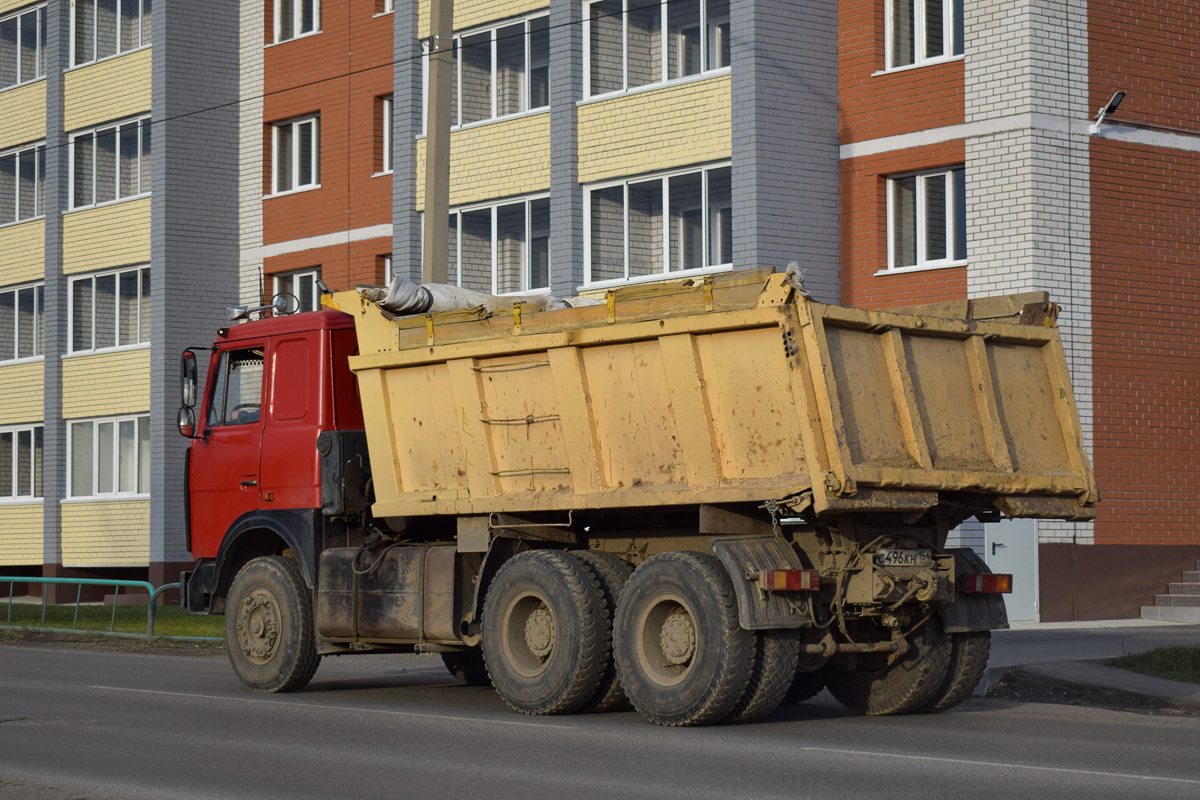 Алтайский край, № С 496 КН 154 — МАЗ-551605