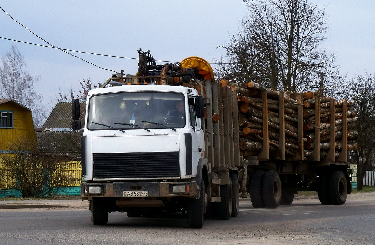 Могилёвская область, № АВ 5617-6 — МАЗ-6303 (общая модель)