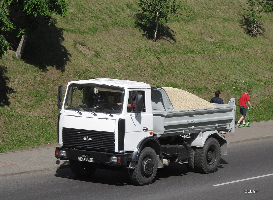 Витебская область, № АА 8656-2 — МАЗ-5551 (общая модель)