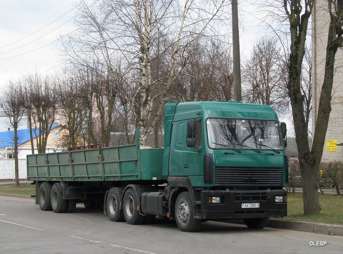 Витебская область, № АК 2960-2 — МАЗ-6430 (общая модель)