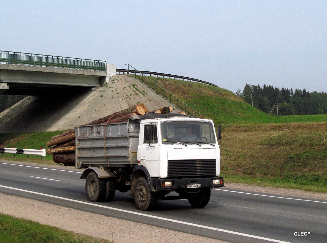 Витебская область, № АЕ 7636-2 — МАЗ-5551 (общая модель)