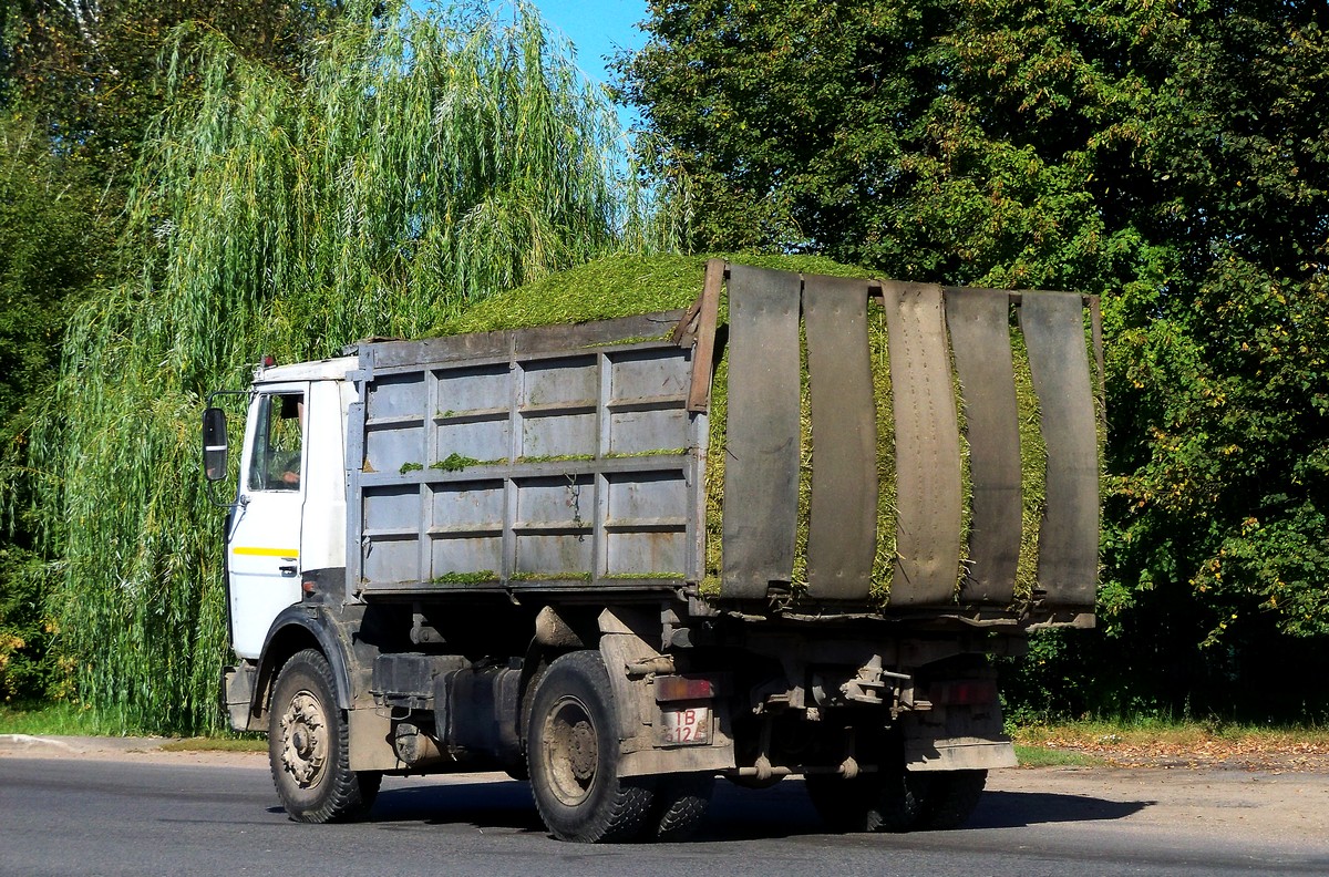 Могилёвская область, № ТВ 5124 — МАЗ-5551 (общая модель)