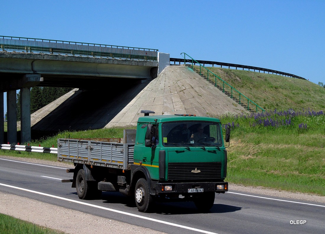 Витебская область, № АВ 6369-2 — МАЗ-5336 (общая модель)