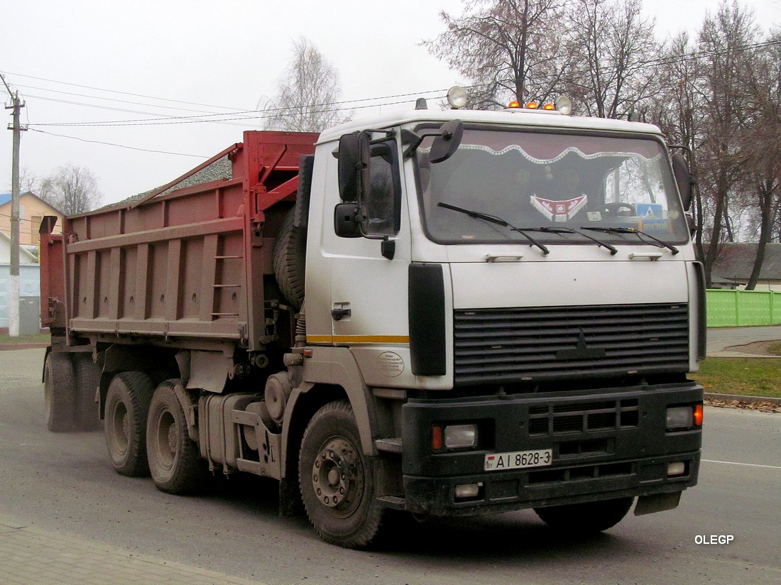 Гомельская область, № АІ 8628-3 — МАЗ-6501 (общая модель)