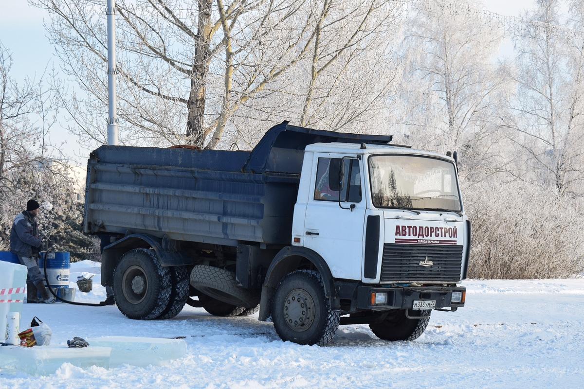 Алтайский край, № М 333 УМ 22 — МАЗ-5551A2