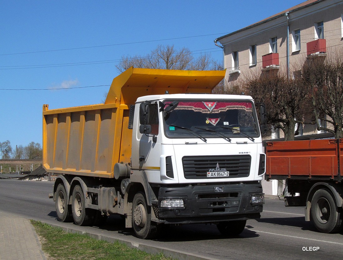 Витебская область, № АК 8647-2 — МАЗ-6501B9