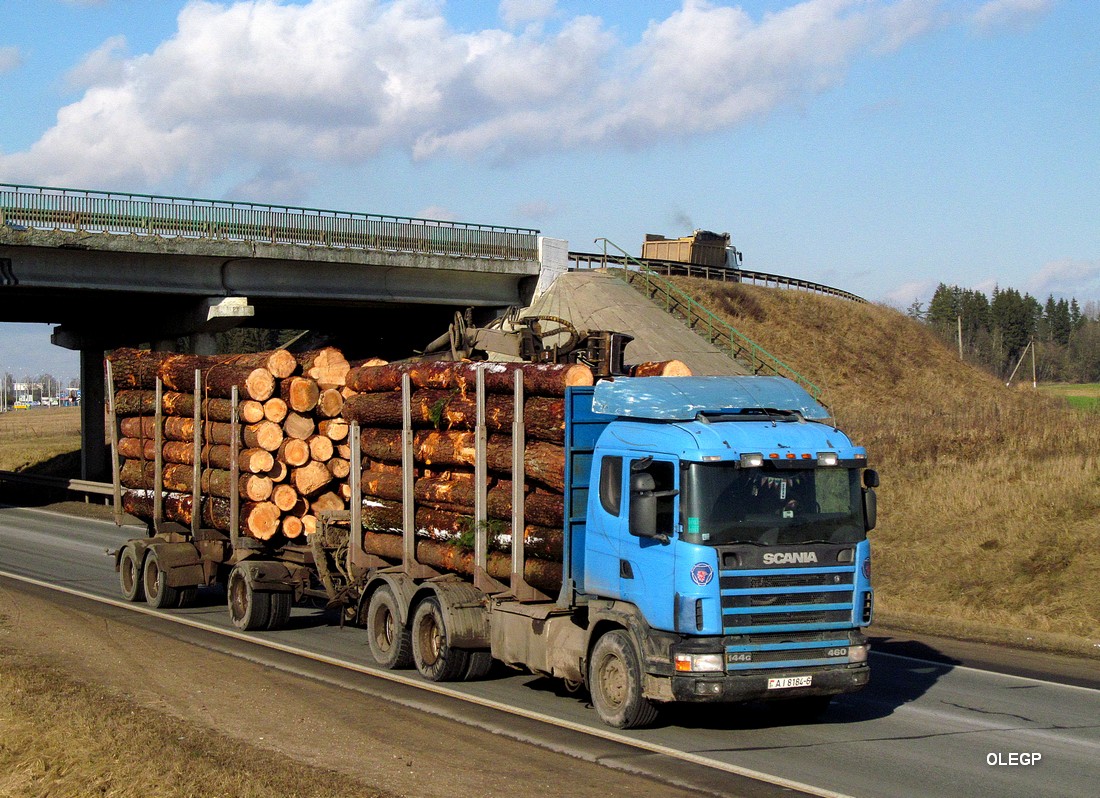 Могилёвская область, № АІ 8164-6 — Scania ('1996) R144G