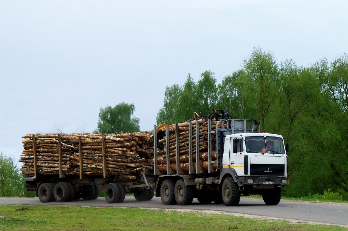 Могилёвская область, № АІ 1454-6 — МАЗ-6317 (общая модель)