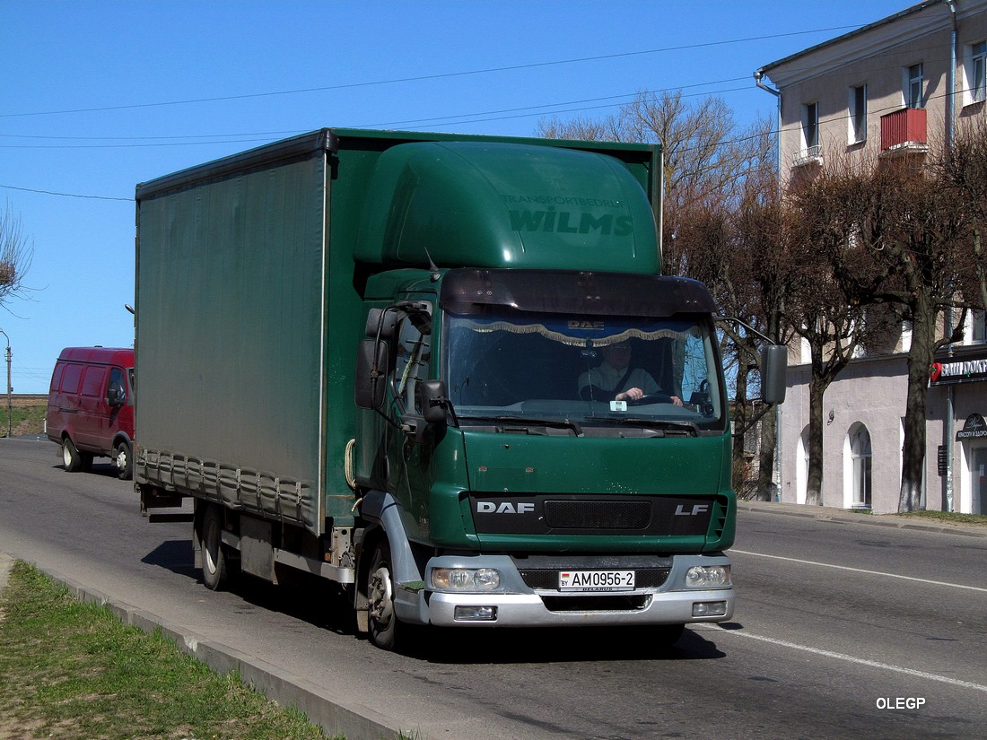 Витебская область, № АМ 0956-2 — DAF LF45 FA