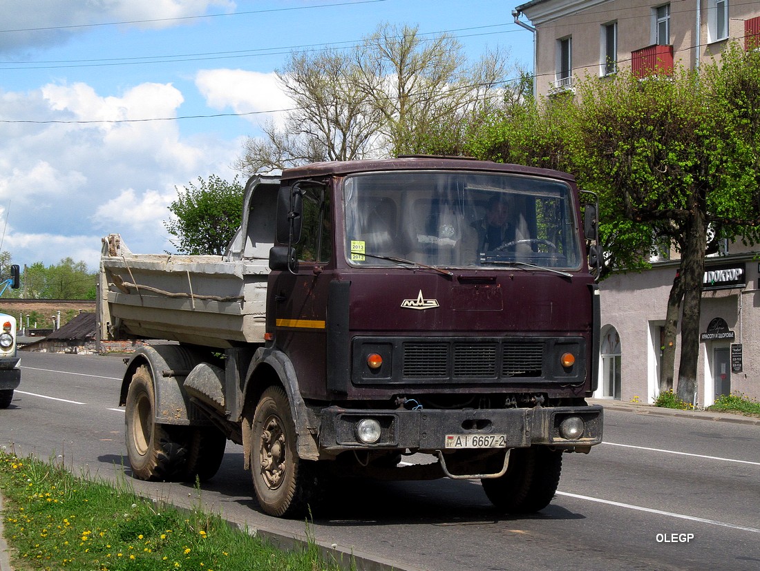 Витебская область, № АІ 6667-2 — МАЗ-5551 (общая модель)