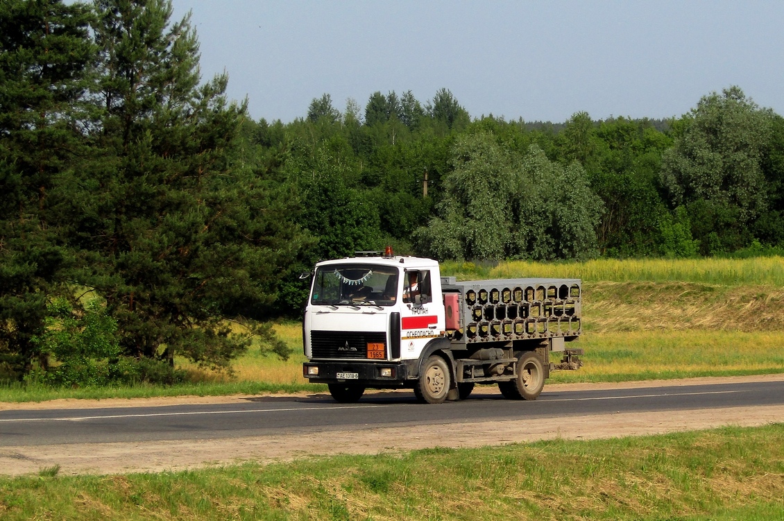 Могилёвская область, № АЕ 1318-6 — МАЗ-4570 (общая модель)