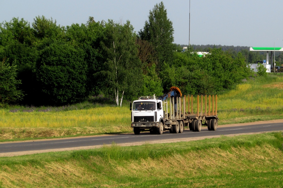 Могилёвская область, № АВ 5617-6 — МАЗ-6303 (общая модель)