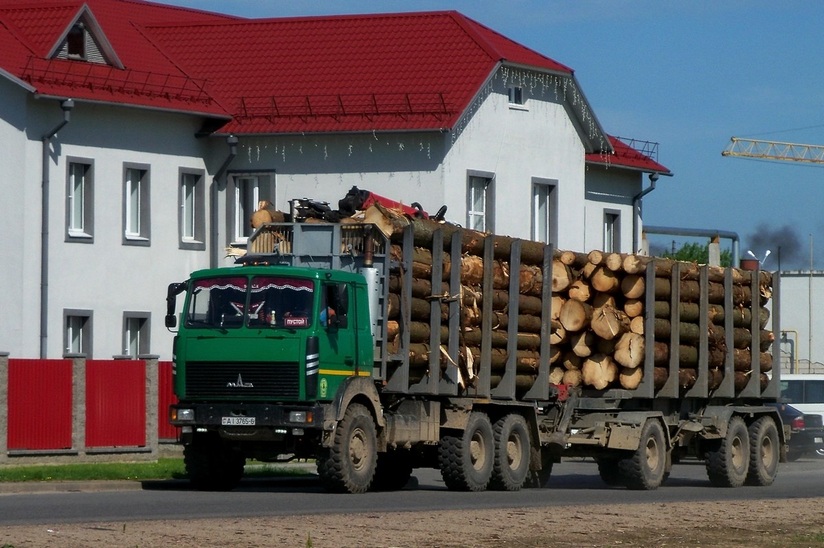 Могилёвская область, № АІ 3765-6 — МАЗ-6317 (общая модель)