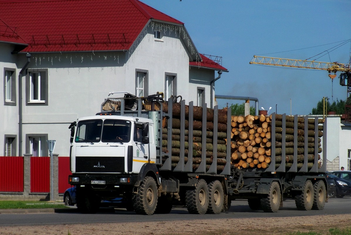 Могилёвская область, № АІ 2051-6 — МАЗ-6317 (общая модель)