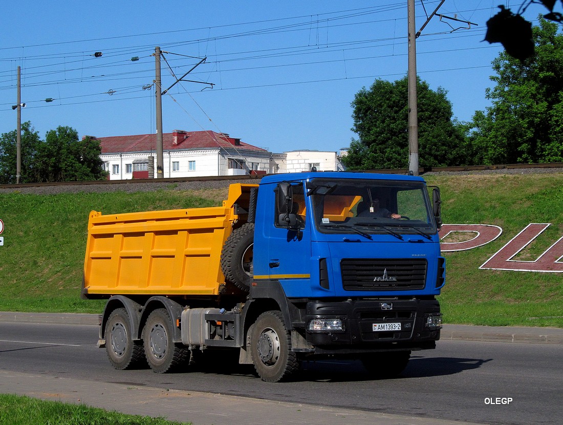 Витебская область, № АМ 1393-2 — МАЗ-6501C5