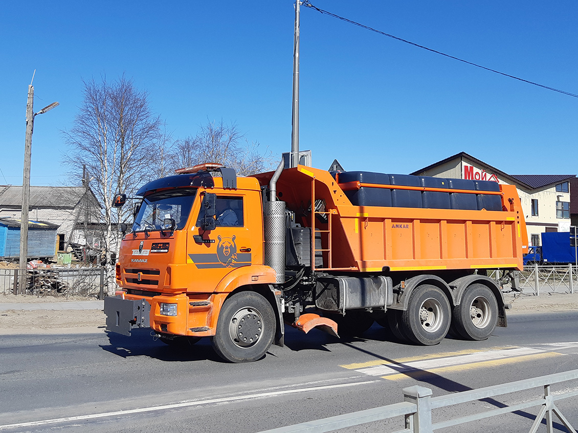 Ненецкий автономный округ, № А 355 ОА 83 — КамАЗ-65115-A5