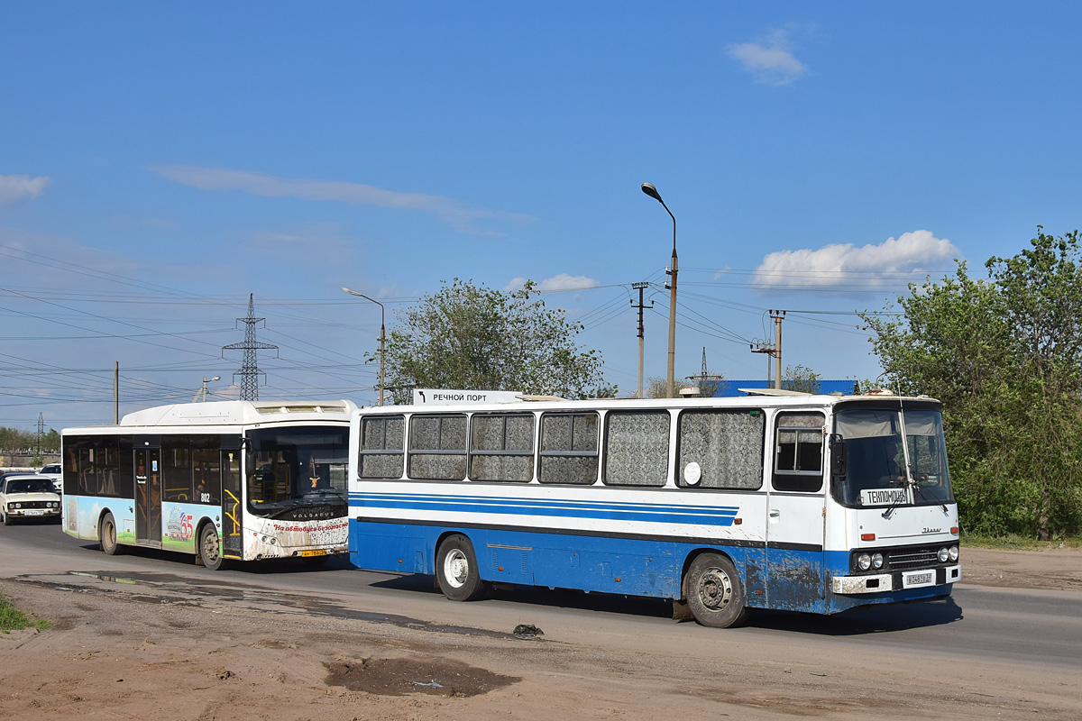 Волгоградская область, № 944 — Ikarus (общая модель)