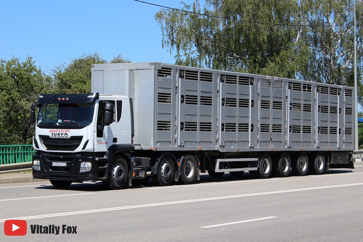 Белгородская область, № О 059 ХР 31 — IVECO Stralis ('2012) 420