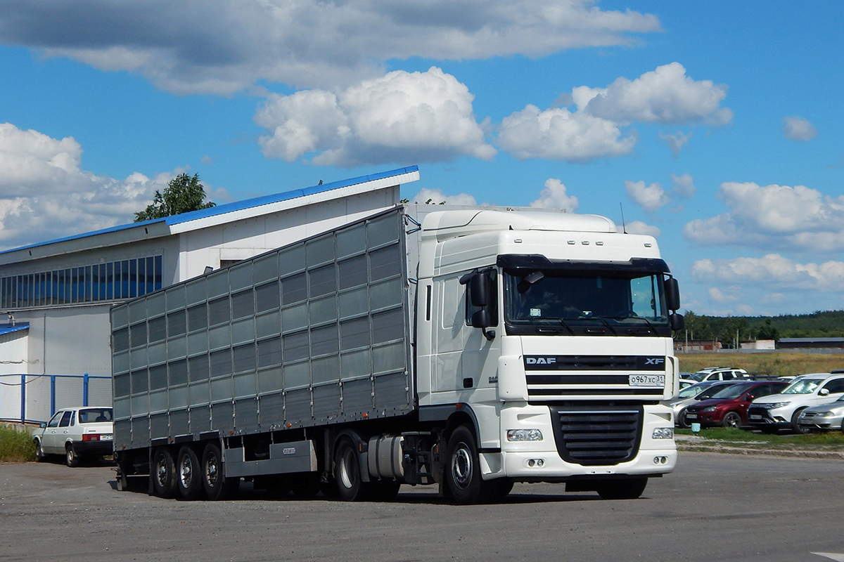 Белгородская область, № О 967 ХС 31 — DAF XF105 FT