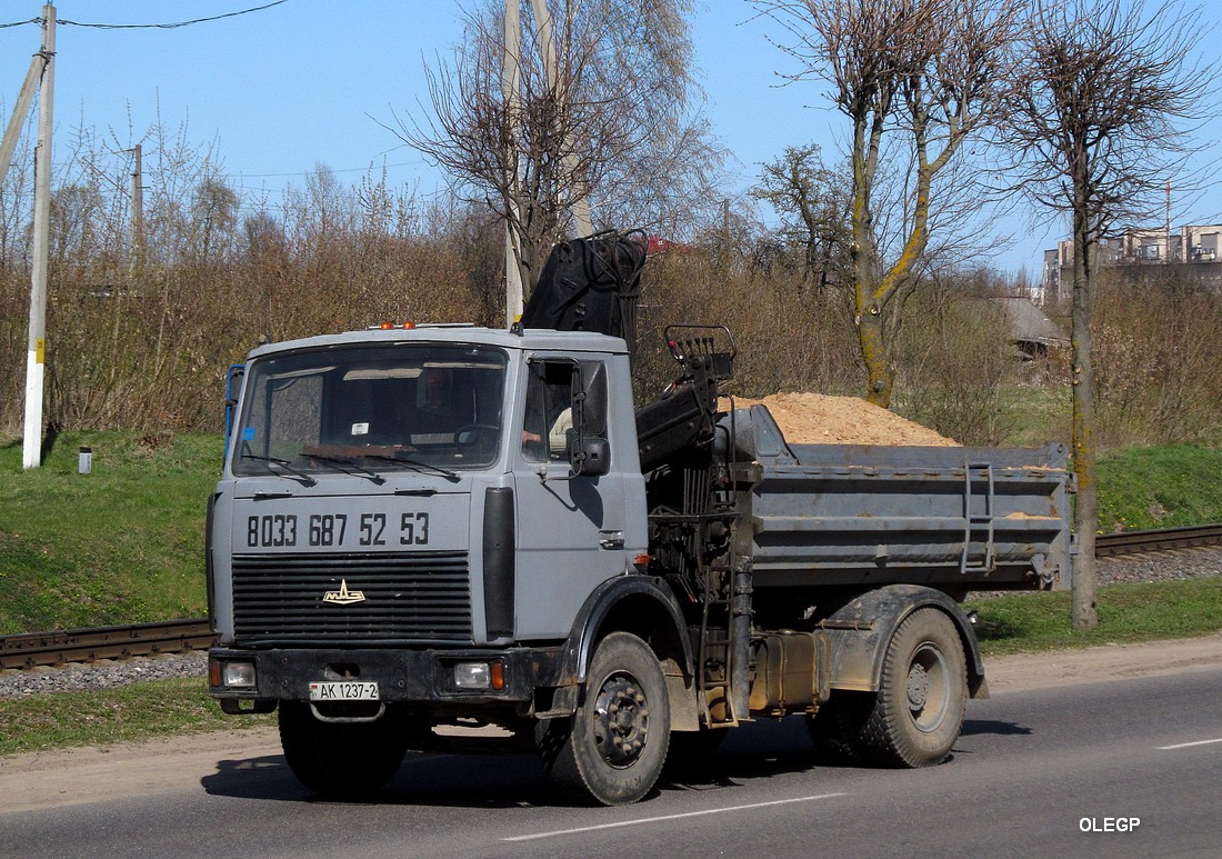 Витебская область, № АК 1237-2 — МАЗ-5551 (общая модель)