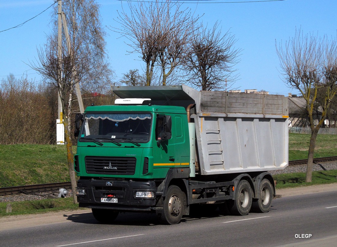 Витебская область, № АК 3886-2 — МАЗ-6501 (общая модель)