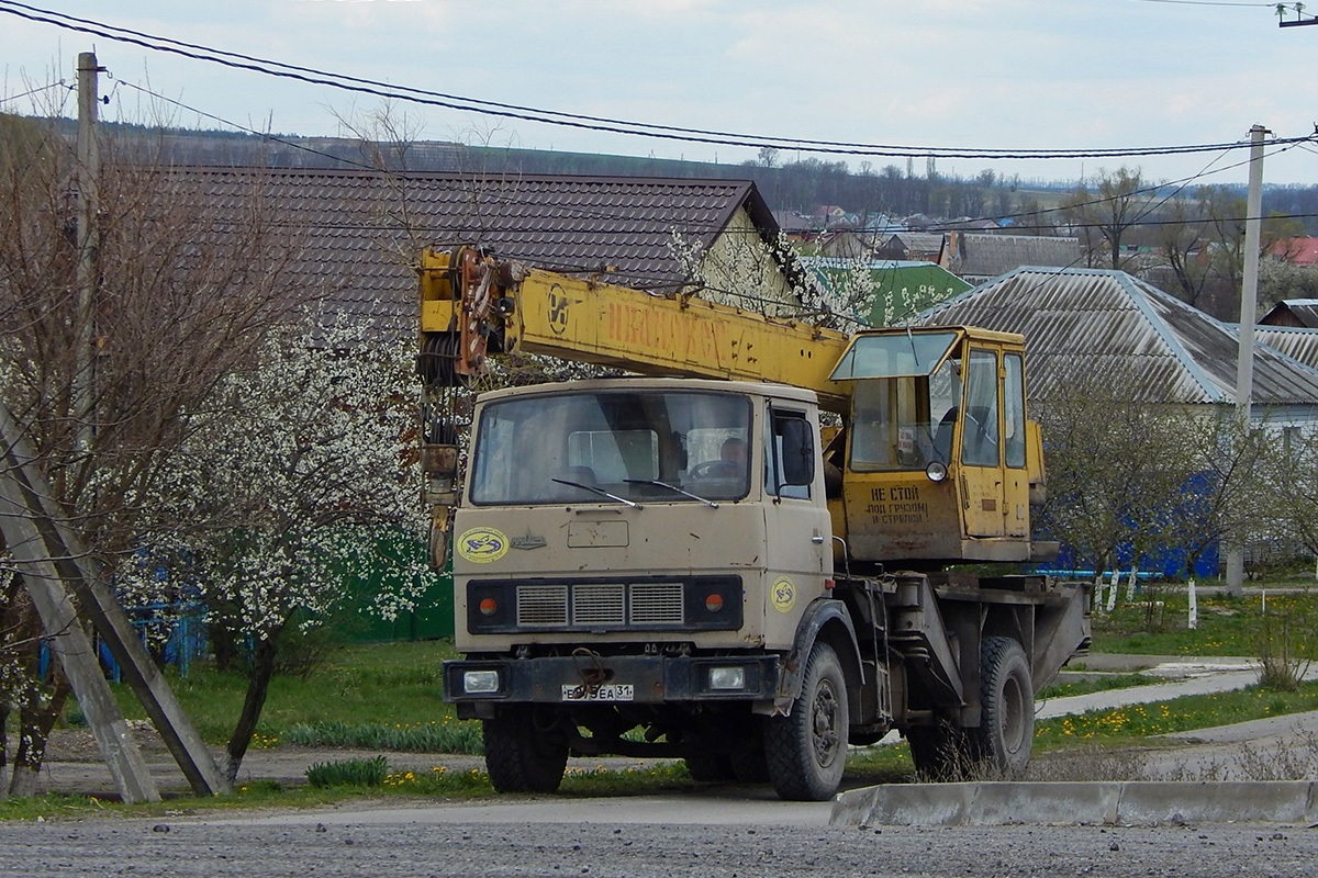 Белгородская область, № Е 875 ЕА 31 — МАЗ-5337 [533700]