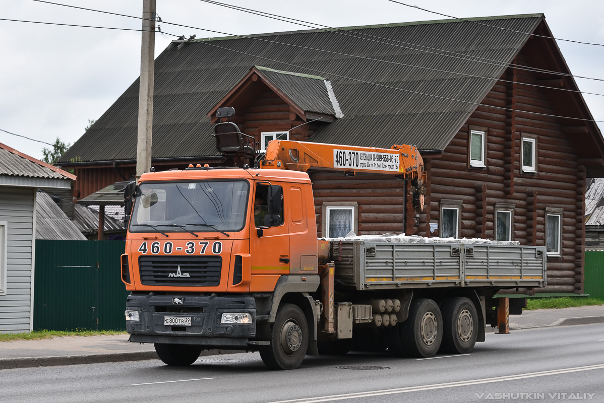 Архангельская область, № Е 800 ТВ 29 — МАЗ-631228