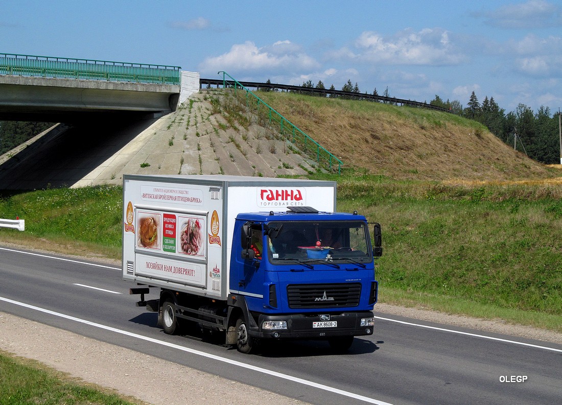 Витебская область, № АК 8608-2 — МАЗ-4371 (общая модель)