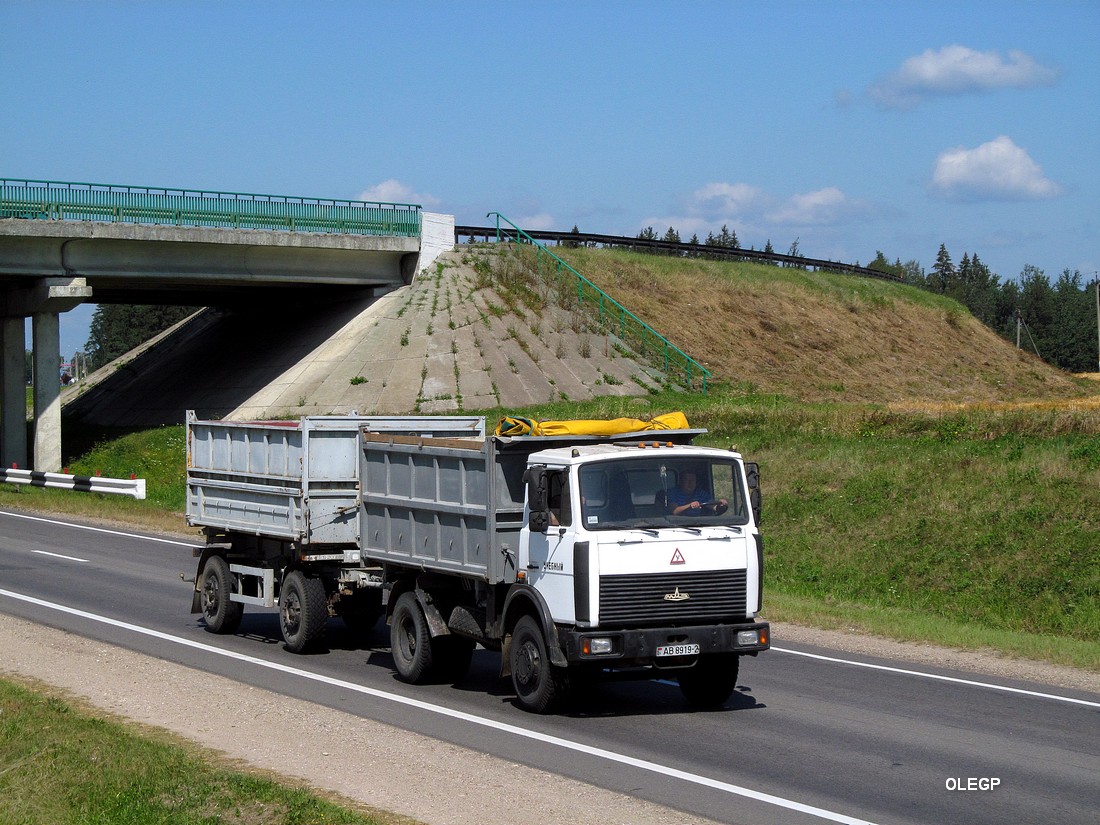 Витебская область, № АВ 8919-2 — МАЗ-5551 (общая модель)