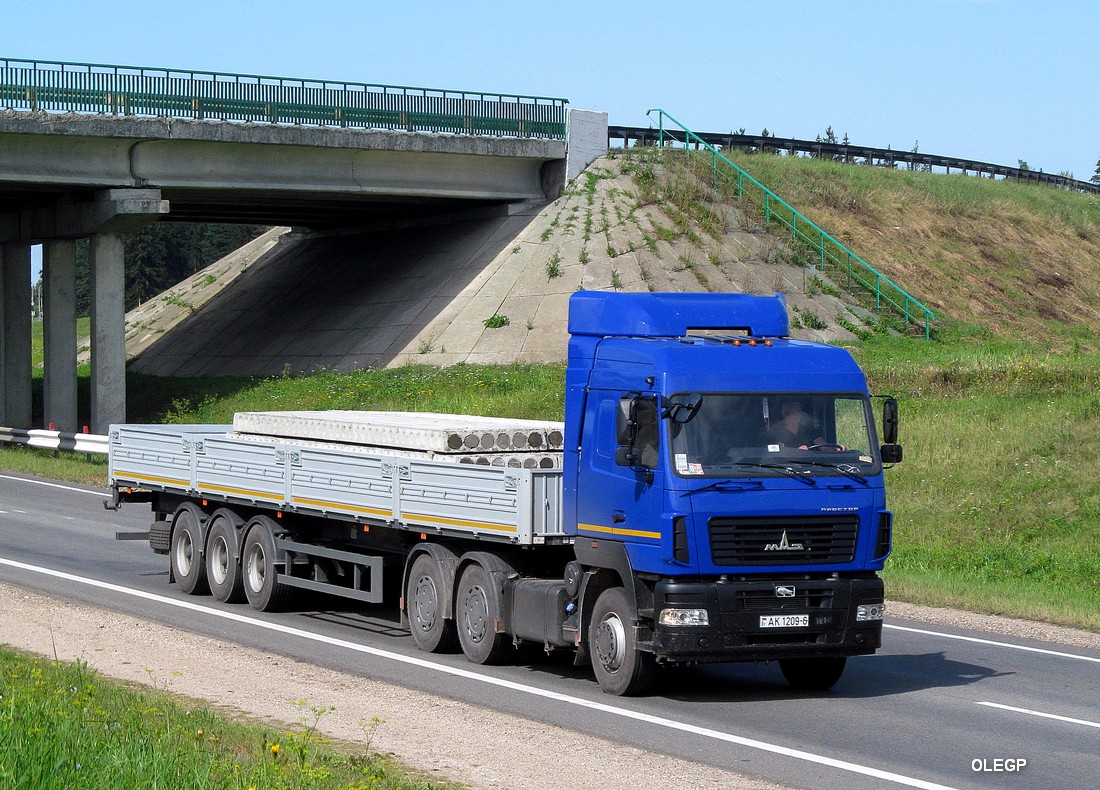 Могилёвская область, № АК 1209-6 — МАЗ-6430 (общая модель)