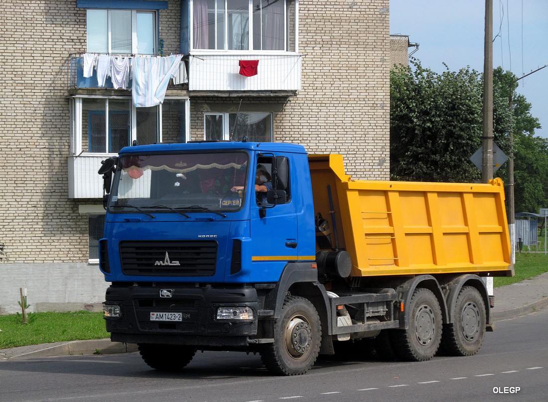 Витебская область, № АМ 1423-2 — МАЗ-6501C5