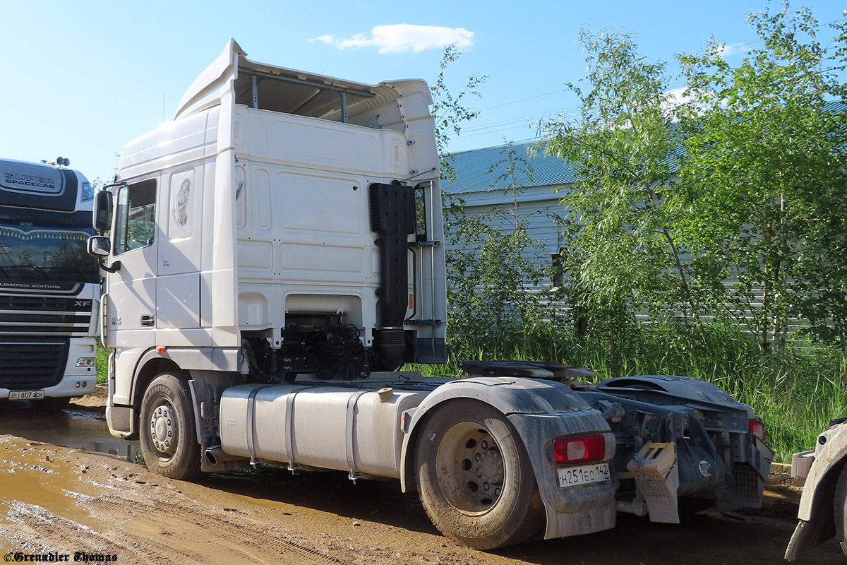 Кемеровская область, № Н 251 ЕО 142 — DAF XF105 FT