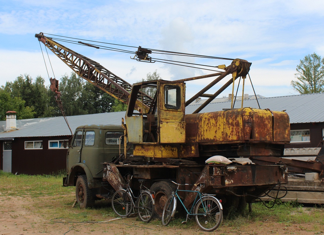 Псковская область, № (60) Б/Н 0019 — МАЗ-5334