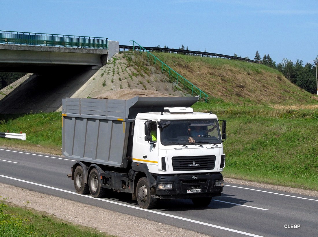 Витебская область, № АК 2858-2 — МАЗ-6501 (общая модель)