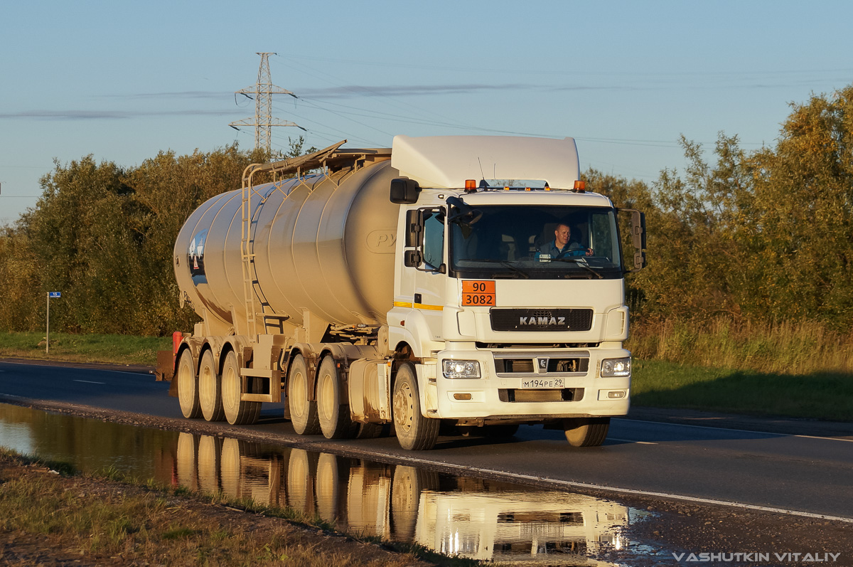 Архангельская область, № М 194 РЕ 29 — КамАЗ-65206-T5