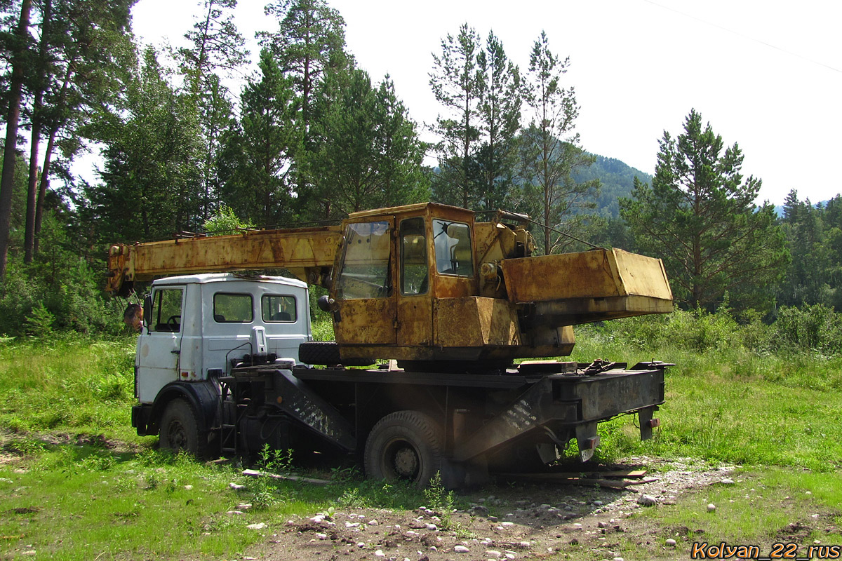 Новосибирская область, № С 845 ВР 154 — МАЗ-533706