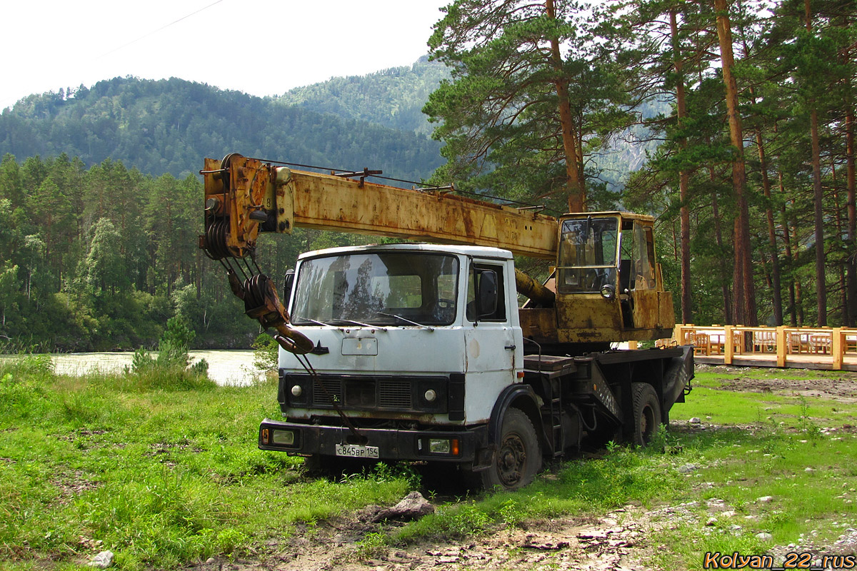 Новосибирская область, № С 845 ВР 154 — МАЗ-533706