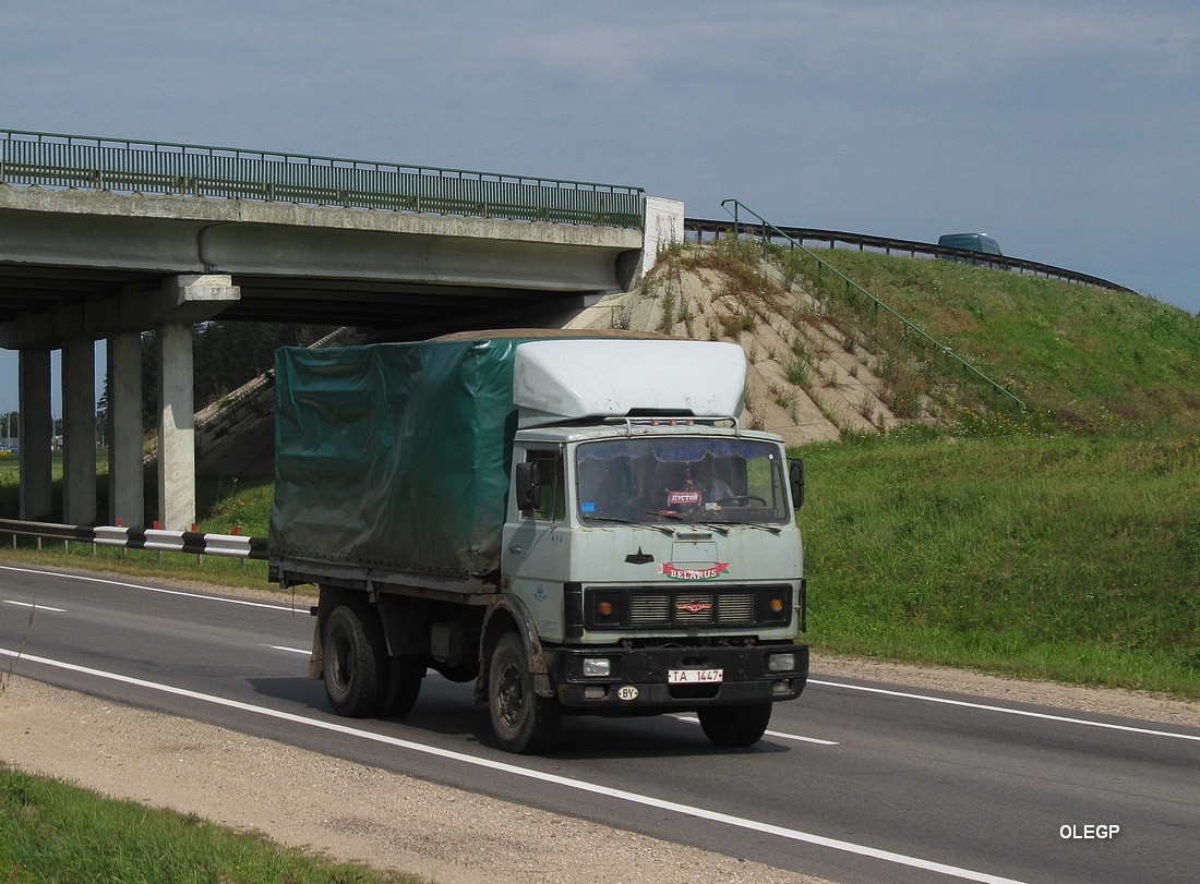 Могилёвская область, № 836 — МАЗ-5337 (общая модель)