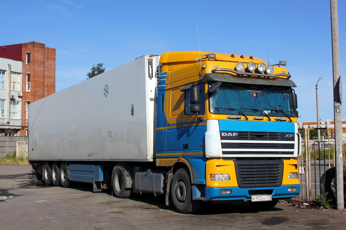 Белгородская область, № К 955 КК 31 — DAF XF95 FT