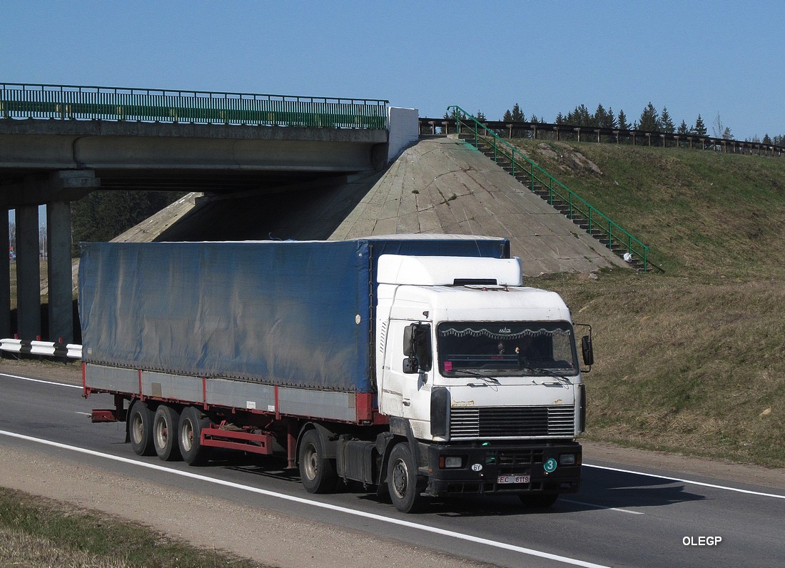 Гомельская область, № ЕС 6119 — МАЗ-5440 (общая модель)