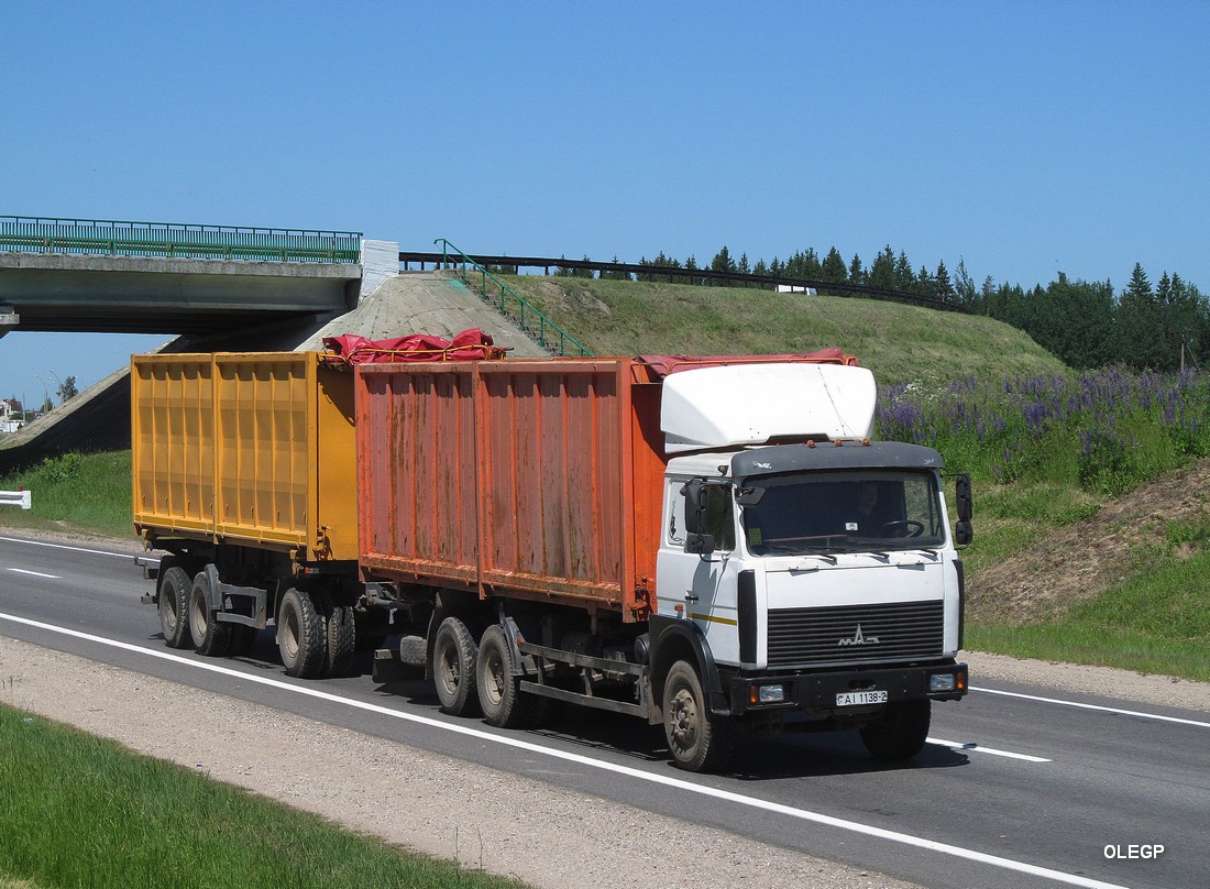 Витебская область, № АІ 1138-2 — МАЗ-6303 (общая модель)