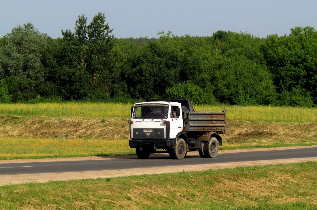 Могилёвская область, № АА 6417-6 — МАЗ-5551 (общая модель)