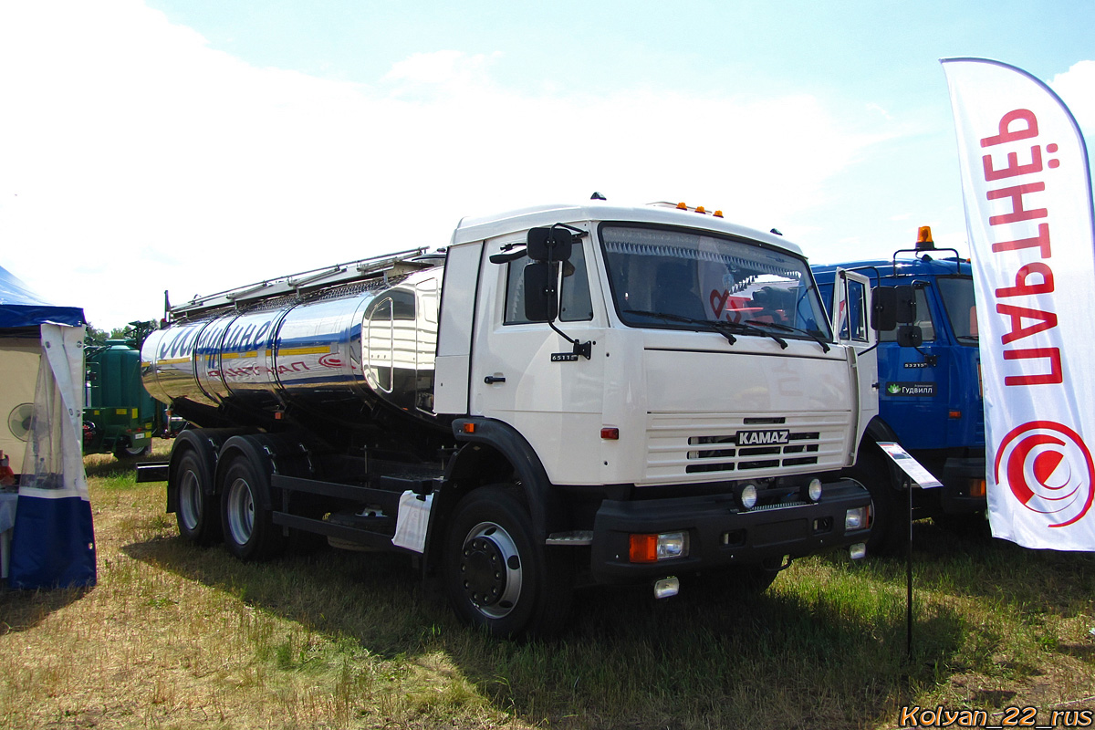 Алтайский край, № М 133 ХС 22 — КамАЗ-65115-15 [65115R]; Алтайский край — Выставка "День Сибирского Поля 2017"