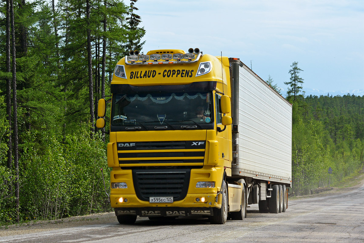 Приморский край, № Х 595 ЕС 125 — DAF XF105 FT