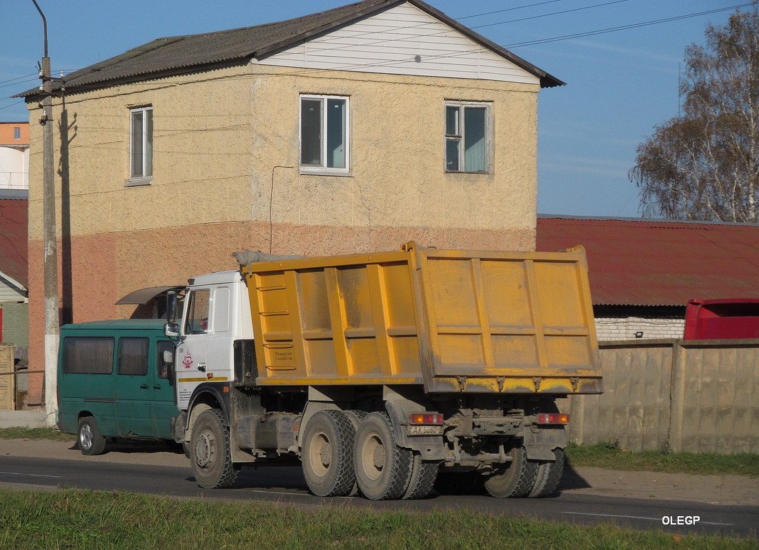 Витебская область, № 12009 — МАЗ-5516 (общая модель)