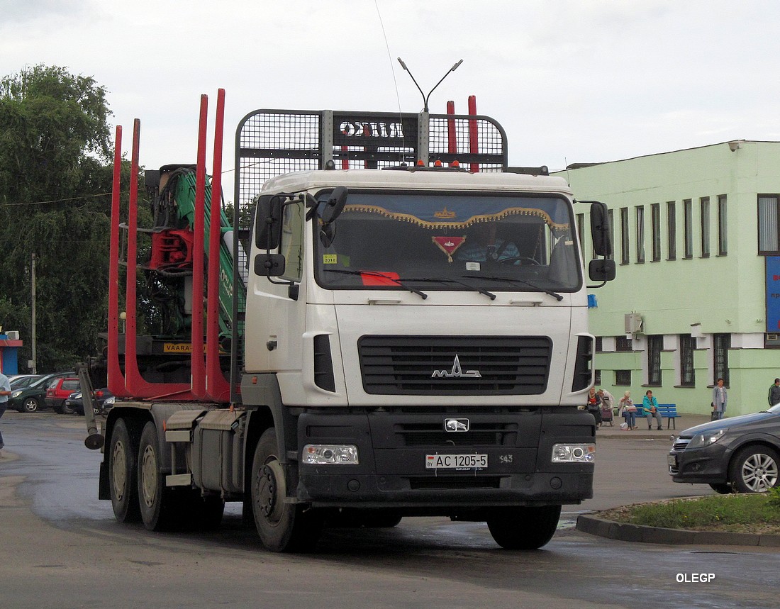 Минская область, № АС 1205-5 — МАЗ-6312 (общая модель)